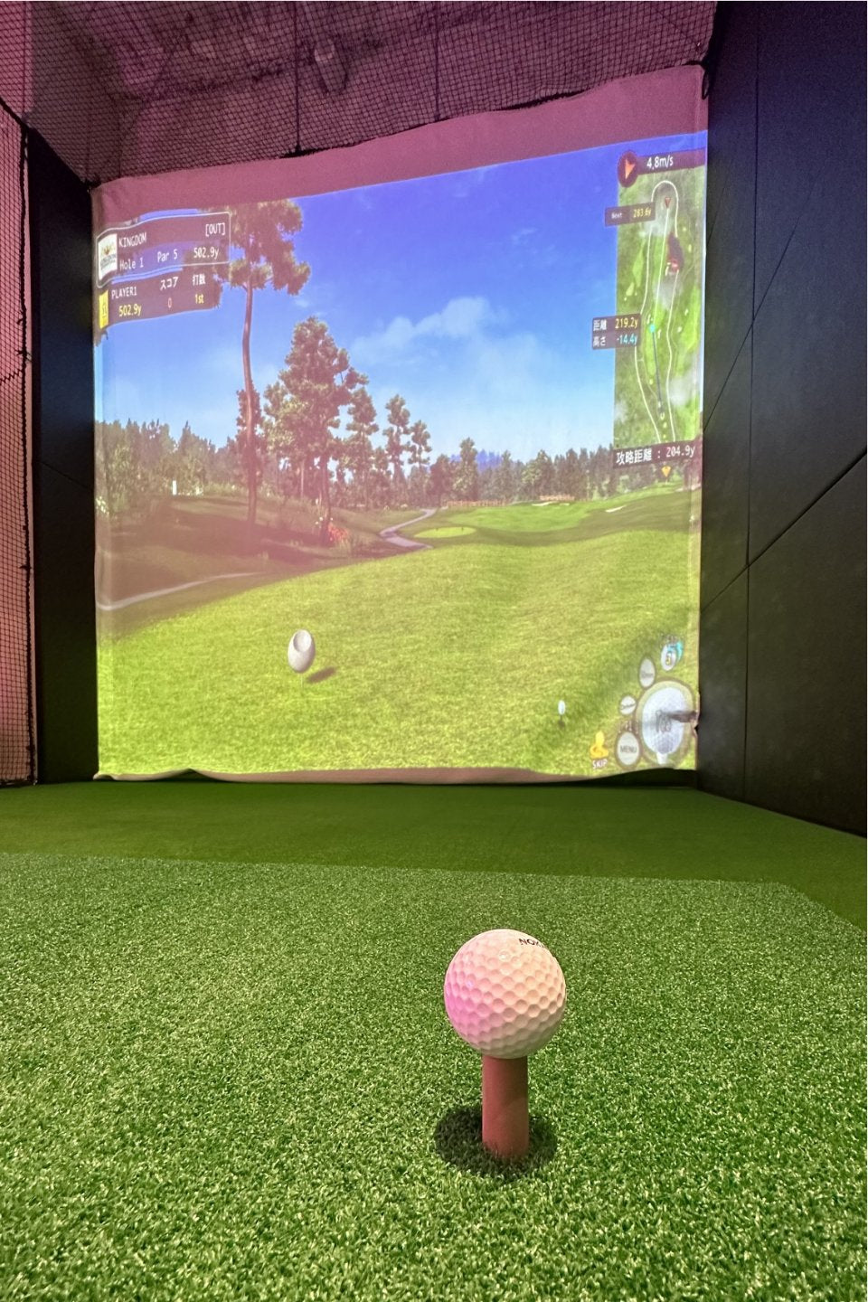 シミュレーションゴルフ
